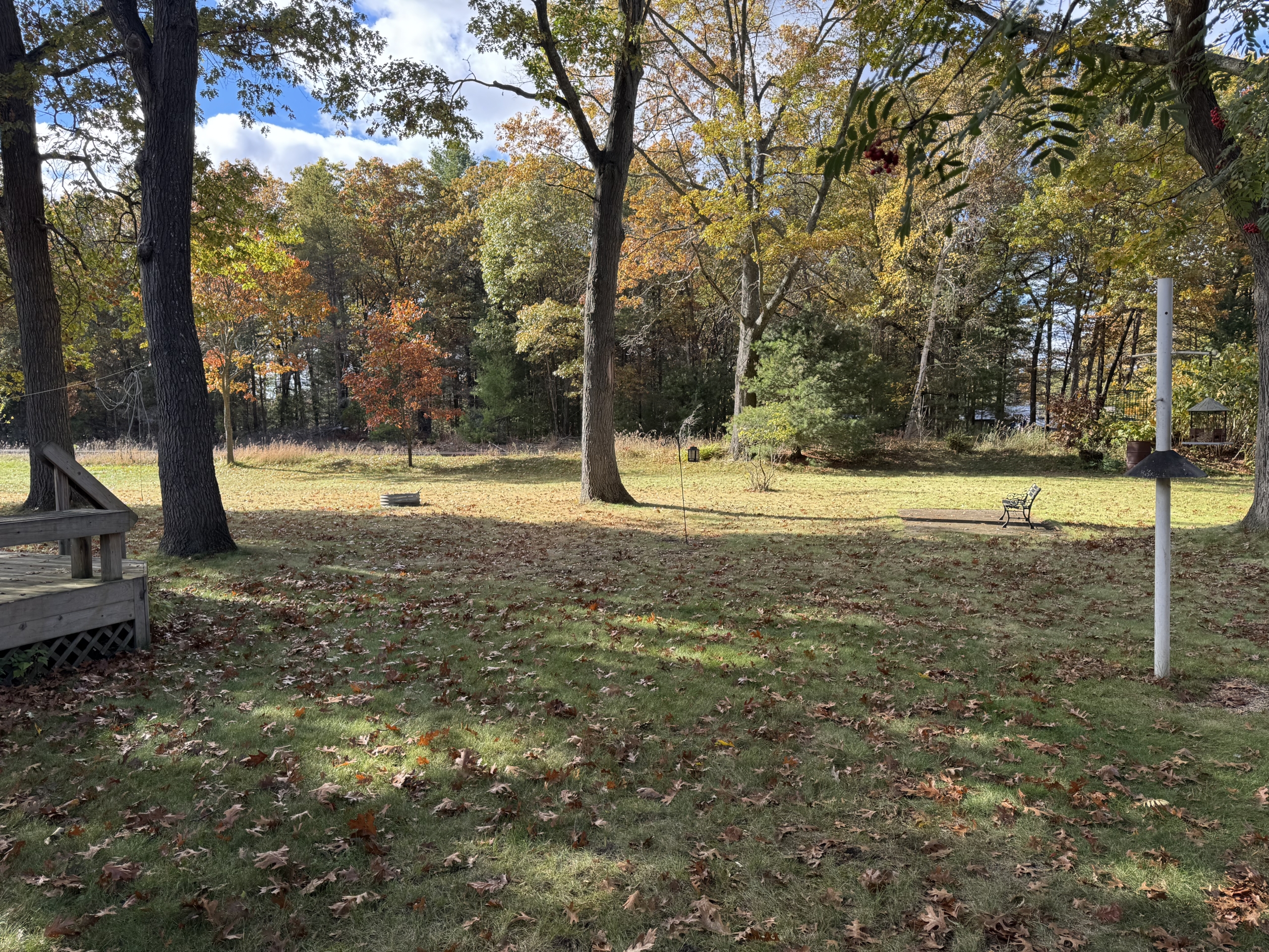 Back yard with bench
