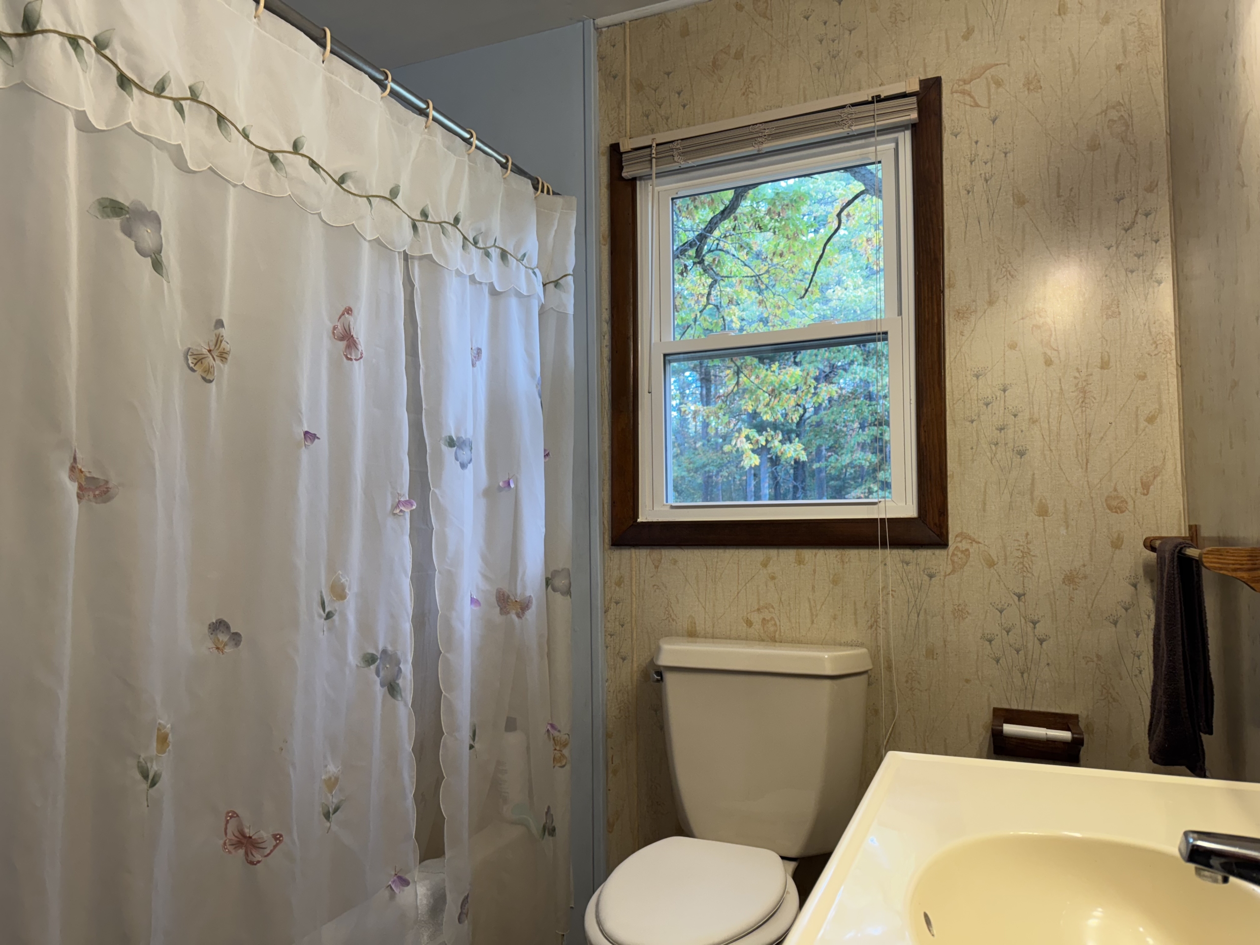 Main Bathroom shower